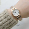 Luckacco Luxury Brand Women Watch Fashion Number Stainless Steel Quartz Wristwatch Simple Elegant Ladies Clock Reloj Mujer